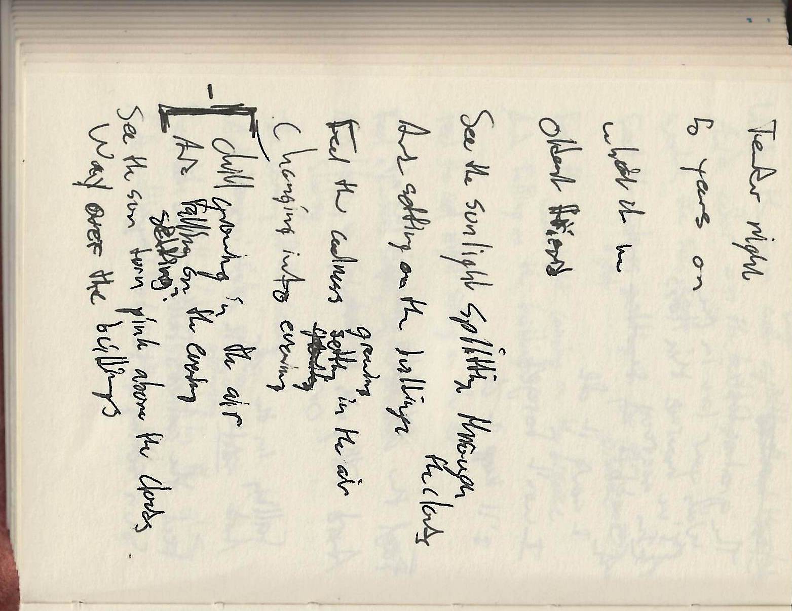 For My Young Death Lyrics Sheet 20